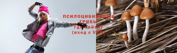 круглые Алзамай