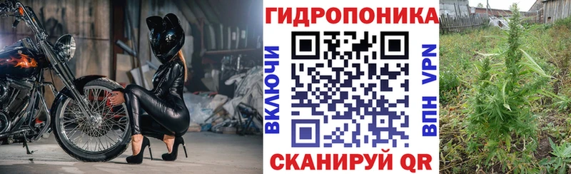 Каннабис гибрид  Брюховецкая 